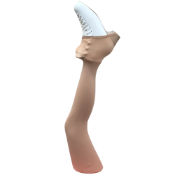 Collants sans Pieds